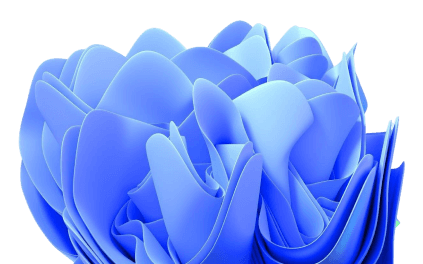 COMUNIDAD background